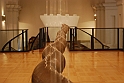 Museo Di Scienze Naturali - Experimenta 9B